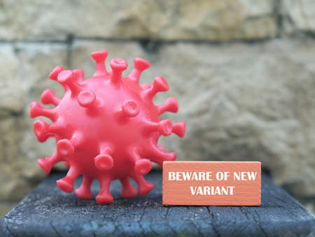 A picture of 3d printed coronavirus with beware of new variant word on wooden blockの写真素材