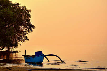 Boat on sea beach with treesの写真素材