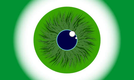 Close-up of human eye, cornea, retina, pupil. Realistic vector illustration of iris.のイラスト素材