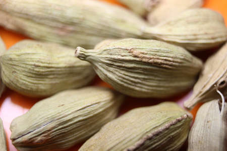 Closeup top view of dried green Elettaria cardamomum fruits with seeds, cardamom spice scattered on white backgroundの写真素材