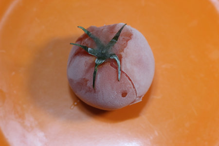 Tomato covered with hoarfrost on an orange background. Macro shot of a tomato on a white background.の写真素材