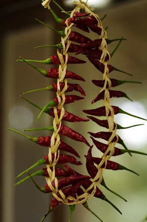 Red pepperの写真素材