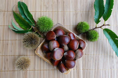 chestnutの写真素材