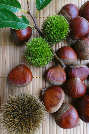 chestnutの写真素材