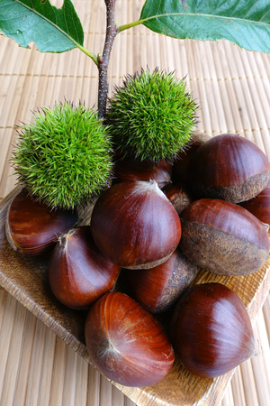 chestnutの写真素材