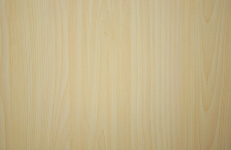 Wood texture. Wood texture for design and decorationの写真素材