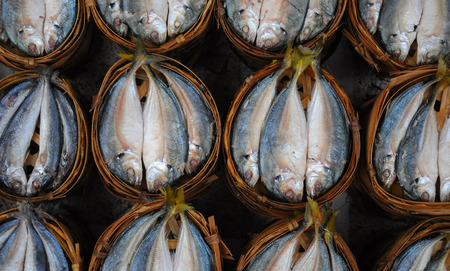 Fresh mackerel in basket in market