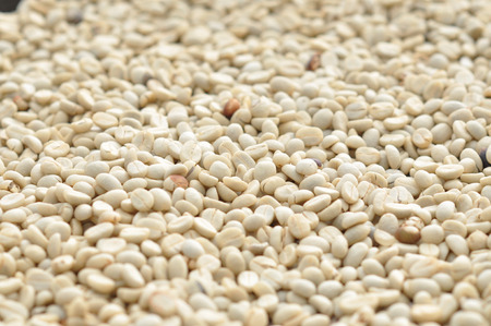 Texture of Coffee beanの写真素材