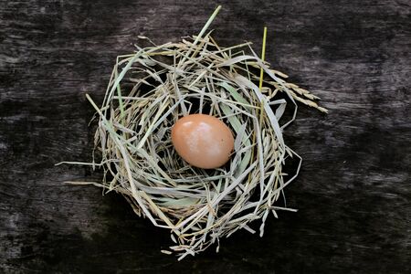 Chicken Egg in the nest of straw on the floor dark wood