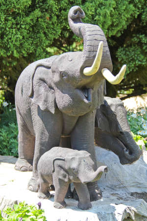 elephantの写真素材