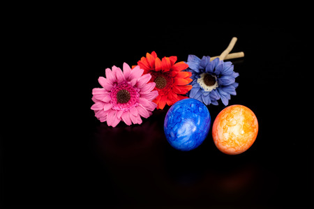 Funny eggsの写真素材