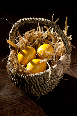 Funny easter eggsの写真素材