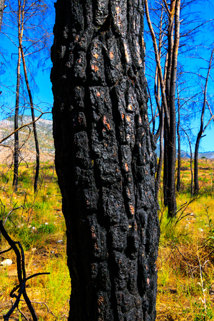 Green Hillsの写真素材