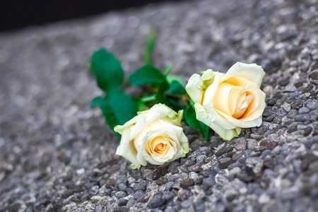 White and red roses, bouquetの写真素材