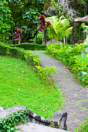 Park in Baliの写真素材