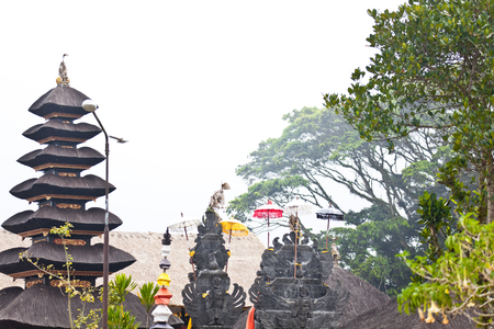 Island of the Thousand Templesの写真素材
