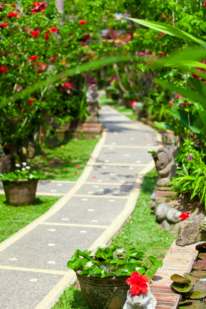 Colourful Flowers Gardenの写真素材