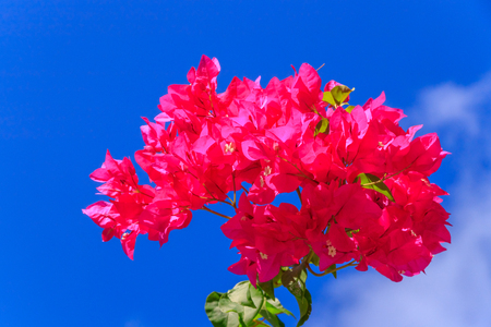 Dreamscape Escape On Maldivesの写真素材