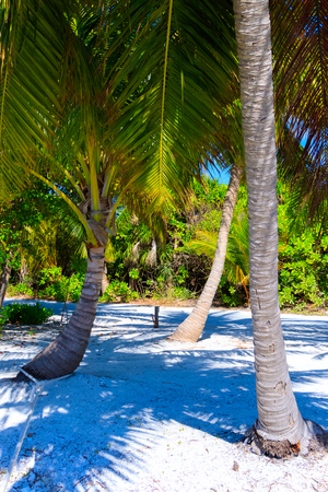 Dreamscape Escape On Maldivesの写真素材