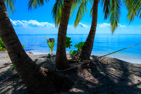 Dreamscape Escape On Maldivesの写真素材