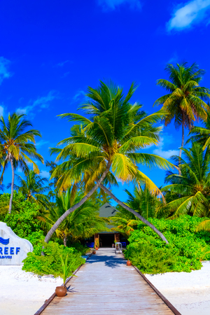 Dreamscape Escape On Maldivesの写真素材