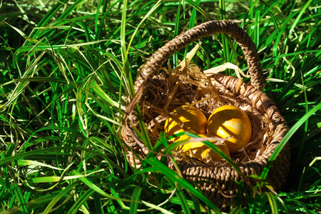 Easter Eggsの写真素材