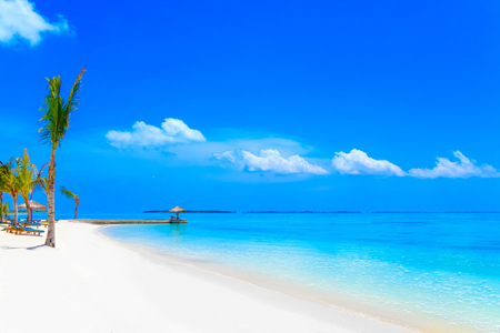 Dreamscape Escape On Maldivesの写真素材