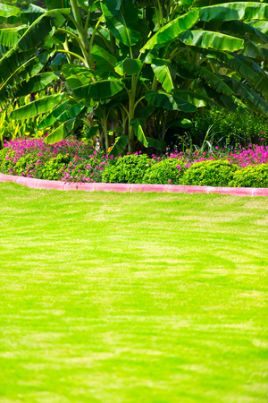 Tropic Garden amusement parkの写真素材