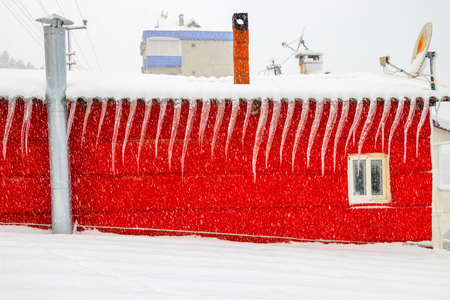 Curious Rip iciclesの写真素材