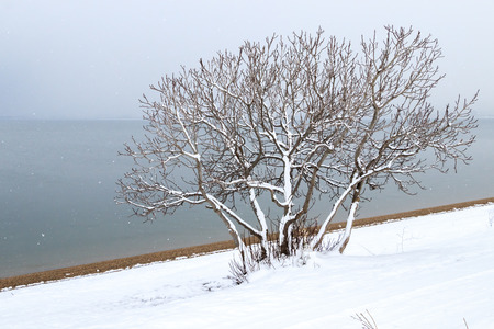 Winter Landscapeの写真素材