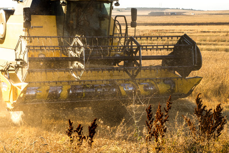 Harvest time