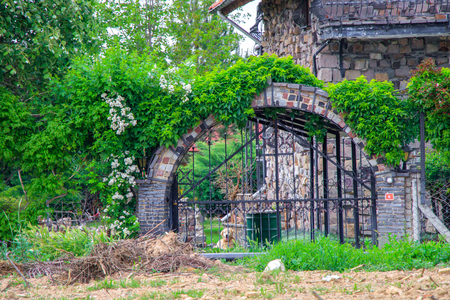 Landscaping in the gardenの写真素材