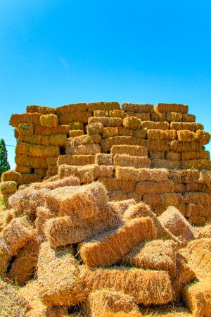 Haystackの写真素材