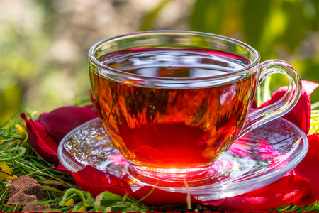 Black tea beautifully composed in the natureの写真素材
