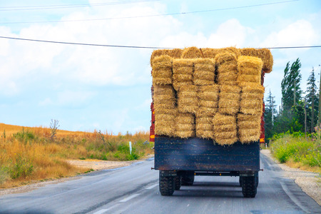 Tractor on the filedの写真素材