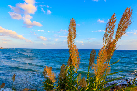 Mediterranean Coast Antalya Turkeyの写真素材