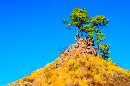 Mountains landscape on a sunny dayの写真素材