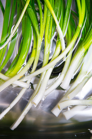 Purified Winter Onionの写真素材