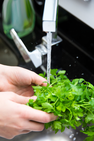 Parsleyの写真素材