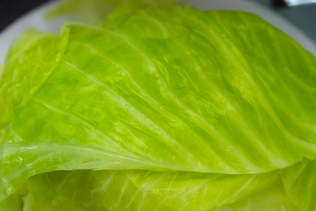 Cabbage rollsの写真素材