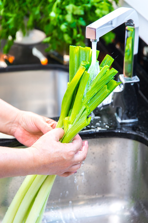 Leek under running waterの写真素材