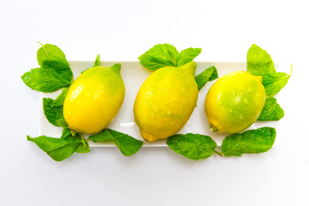 Citrus fruitsの写真素材