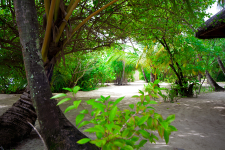 Holiday paradiseの写真素材