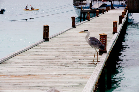 Holiday paradiseの写真素材