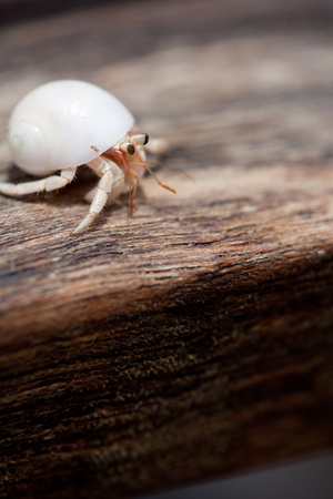 Holiday paradiseの写真素材