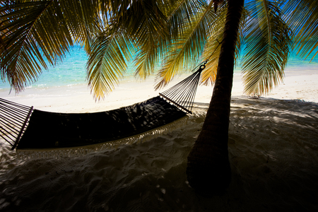 Holiday paradiseの写真素材