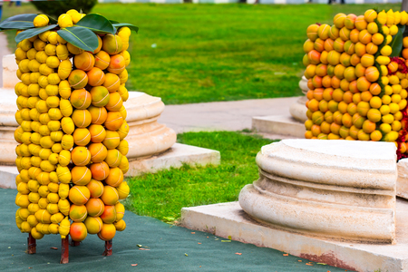 Vitamin Cの写真素材