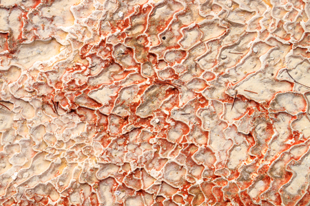 Pamukkale - Denizli, Turkeyの写真素材