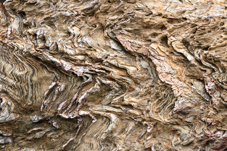 Raw Stone Texture