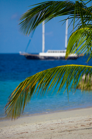 Holiday Paradiseの写真素材
